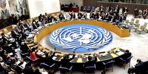مصر بمجلس الأمن: أي تسوية بين الجيش السوداني والميليشيا محكوم عليها بالفشل
