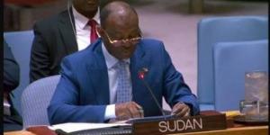 السودان لمجلس الأمن: لنا الحق فى إنتاج واقتناء الأسلحة لحماية سيادة البلاد