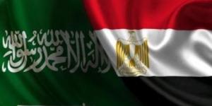 بين الفصحى والنبطي.. كيف جمع الشعر مصر والسعودية؟