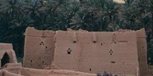 خبوب بريدة.. ذاكرة جسدت علاقة الإنسان بأرضه في منطقة القصيم بالسعودية
