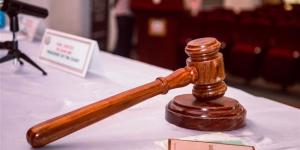 عطلوا المرافق العامة، حيثيات المشدد 15 سنة لتشكيل عصابي سرق كابلات كهرباء بالسلام