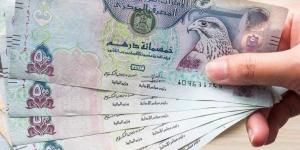 آخر تطورات سعر الدرهم الإماراتي مقابل الجنيه في البنوك المصرية مساء اليوم