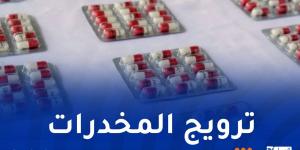 باتنة.. توقيف 4 أشخاص وحجز 385 كبسولة بريغابلين