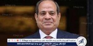 السيسي يحذر من استخدام مواقع التواصل للإضرار بالدولة