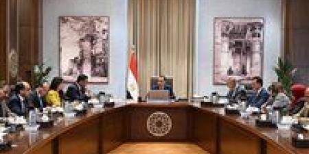 رئيس الوزراء يتابع موقف العقارات المعرضة للانهيارات بمحافظة الإسكندرية وجهود توفير سكن بديل لسكانها