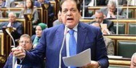 النائب محمد أبو العينين: سننظم احتفالية في نوفمبر القادم لإعلان الخطط التنفيذية للشراكة مع دول الإتحاد من أجل المتوسط