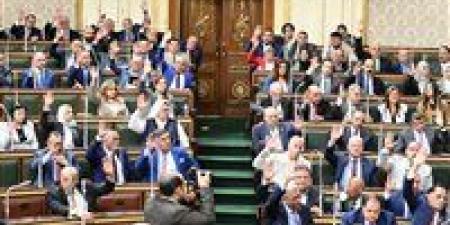 مشروع قانون الإجراءات الجنائية الجديد يقر الإعلان التقليدي بجانب الإلكتروني في حالات الطوارئ.. تفاصيل