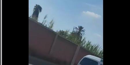 ضبط قائد سيارة أجرة سار عكس الاتجاه بالبحيرة