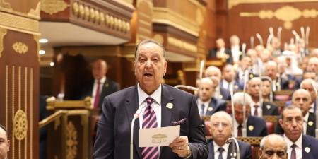 أبرزهم عصام الدين فريد والعوضي.. أعضاء الشيوخ الجدد يؤدون اليمين الدستورية «صور»