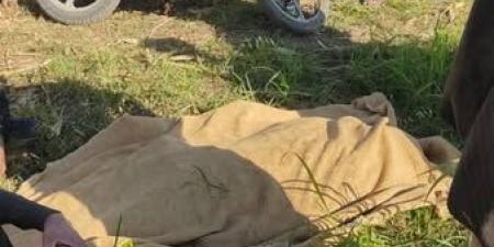 أسيوط: مصرع سائق تريلا على طريق قرية بني محمديات بمركز أبنوب