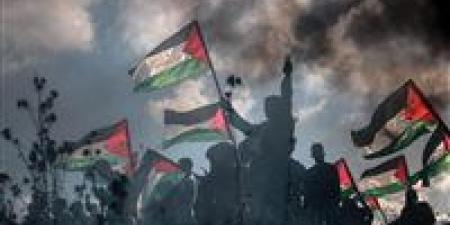 وفود حماس والجهاد والجبهة الشعبية في القاهرة.. حوار فلسطيني برعاية مصرية