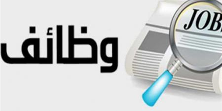 فرص عمل جديدة 2025 برواتب تصل إلى 9400 جنيه.. رابط التقديم والشروط الكاملة