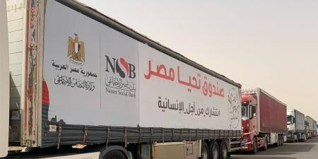الهلال الأحمر المصري: تسيير أكثر من 57 قافلة منذ يوليو الماضي تحمل المساعدات لأهالي غزة