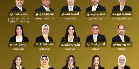 انتخابات مجلس النواب 2025.. تنسيقية شباب الأحزاب والسياسيين تعلن أسماء مرشحيها