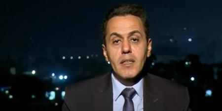 صلاح عبدالعاطي: دور فاعل لمصر في حماية الشعب الفلسطيني