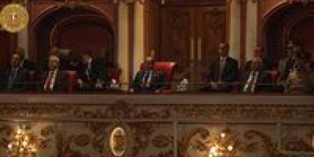 الكينج وحماقي يقدمان «ضهرك يا فلسطيني» في احتفالية وطن السلام بحضور الرئيس السيسي