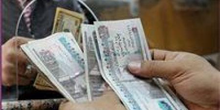 كل ما تريد معرفته عن معاش «تكافل وكرامة».. خطوات التقديم والشروط والمستندات