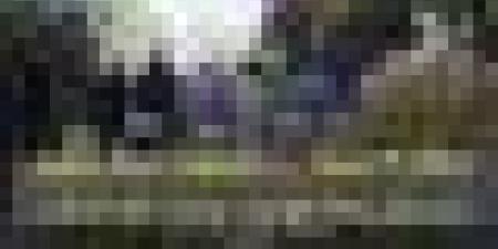 عمّي عبد الكريم وعائلته يعيشون على الثمار التي يزرعونها، ويحلمون بوصول منتوجاتهم إلى العالمية????