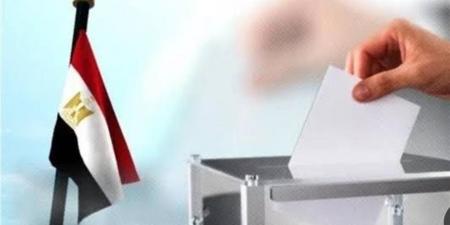 حقيقة فرض غرامة على عدم المشاركة في الانتخابات البرلمانية 2025