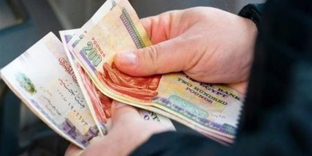 استعلم الآن.. الاستعلام الإلكتروني عن معاشات نوفمبر 2025 ومواعيد صرف الدفعات الشهرية