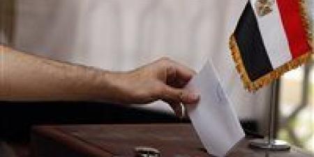 القانون يحظر استغلال الوظيفة العامة وتلقي التبرعات غير المشروعة في الدعاية الانتخابية