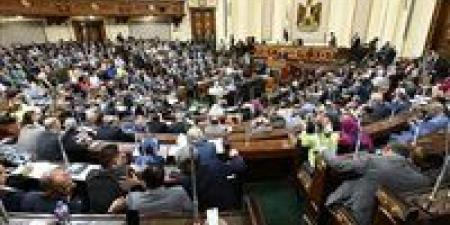 تخصص لصالح مباني وزارة الخارجية بالخارج.. مشروع قانون أمام البرلمان لفرض رسوم 50 جنيه على التصديقات و20 دولار على التأشيرات بسفارات مصر بالخارج