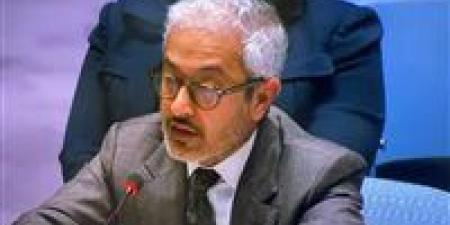 مندوب الإمارات: ندين بشدة الهجمات المشينة ضد المدنيين في الفاشر