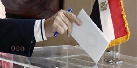 موعد إعلان نتائج انتخابات مجلس النواب 2025 في مصر رسميًا