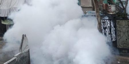 حملات للقضاء على البعوض والحشرات بحي غرب الإسكندرية