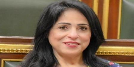 برلمانية: مصر تقود التحرك العربي لحماية الوعي بالقضية الفلسطينية ومؤتمر إعمار غزة