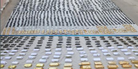 حشيش وهيدرو.. ضبط 3 أطنان مخدرات بقيمة 225 مليون جنيه بالسويس