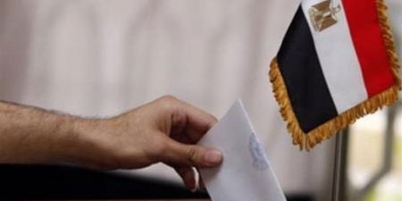 رئيس اتحاد المصريين بالإمارات لـ"الدستور": إقبال كبير على التصويت بانتخابات البرلمان