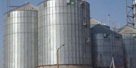 «توفير 3 آلاف فرصة عمل»..توسيع مركز الحبوب بشرق بورسعيد لاستيعاب 5 ملايين طن سنويًا