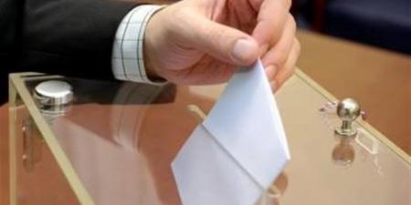 أحزاب تُشيد بإقبال المصريين بالخارج للتصويت في انتخابات النواب: مشهد مشرف يعكس الوعي