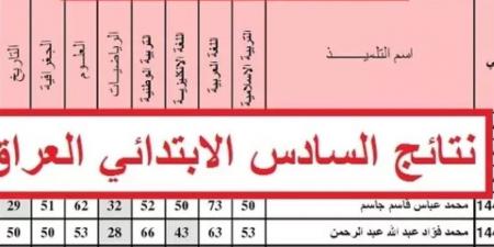 ملف PDF لنتائج السادس الابتدائي الدور الثالث 2025 بالاسم والرقم الامتحاني
