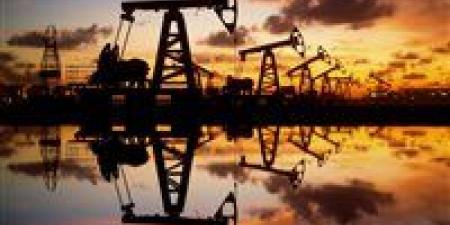 ارتفاع أسعار النفط مع بوادر نهاية الإغلاق الأمريكي وتداعيات “أوبك+”