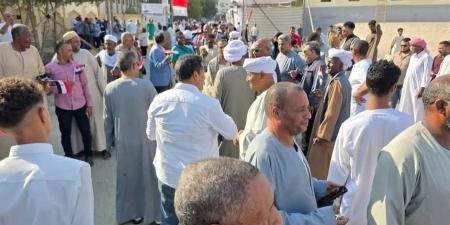 التنسيقية: مسيرة وطنية في مرسى علم تأييدًا للمشاركة في انتخابات مجلس النواب 2025