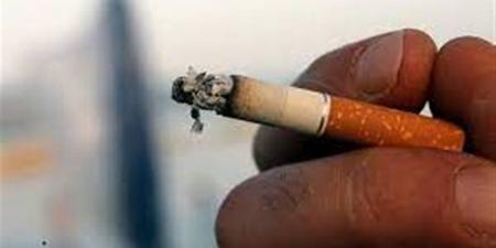 مصر تنتصر على "القاتل الصامت".. انخفاض نسبة المدخنين إلى 14.2% في 2024