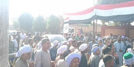 "التنسيقية": إقبال كثيف على اللجان الانتخابية بمحافظة أسوان