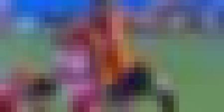 يوسف بلايلي يُضيّع كأس إفريقيا وكأس العرب بسبب الإصابة