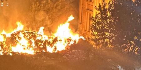 حريق في حديقة المتحف الزراعي بالدقي