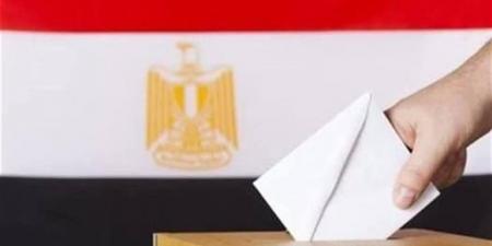 رابط مباشر.. طريقة الاستعلام عن لجنتك الانتخابية عبر موقع الهيئة