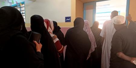 انتخابات مجلس النواب 2025.. إقبال متزايد للناخبين بأسوان قبل غلق صناديق الاقتراع