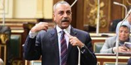 الطماوي: الإجراءات الجنائية نقلة حقيقية في ملف حقوق الإنسان