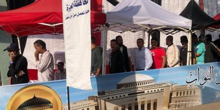 محافظات المرحلة الثانية لمجلس النواب 2025.. جدول التصويت والتفاصيل الكاملة