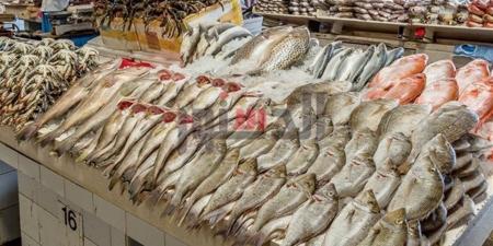 تبدأ من 30 جنيها للكيلو.. أسعار الأسماك في سوق العبور اليوم السبت 15 نوفمبر 2025