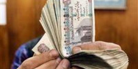 رابط وخطوات الاستعلام عن منحة العمالة غير المنتظمة 2025 (تفاصيل كاملة)