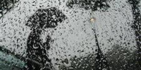 شتاء بلا مخاطر.. خارطة النجاة لقلبك في أيام البرد القارس