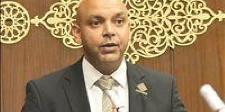 محمود القط: تدخل الرئيس لضمان نزاهة انتخابات النواب 2025 تضمن صون أصوات إرادة المصريين - فيديو