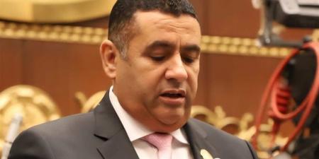 النائب أسامة مدكور: الرئيس السيسي حريص على ضمان نزاهة الانتخابات وصون إرداة الناخبين